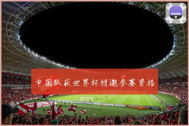 中国队获世界杯特邀参赛资格